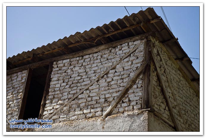 صور من طشقند في أوزبكستان