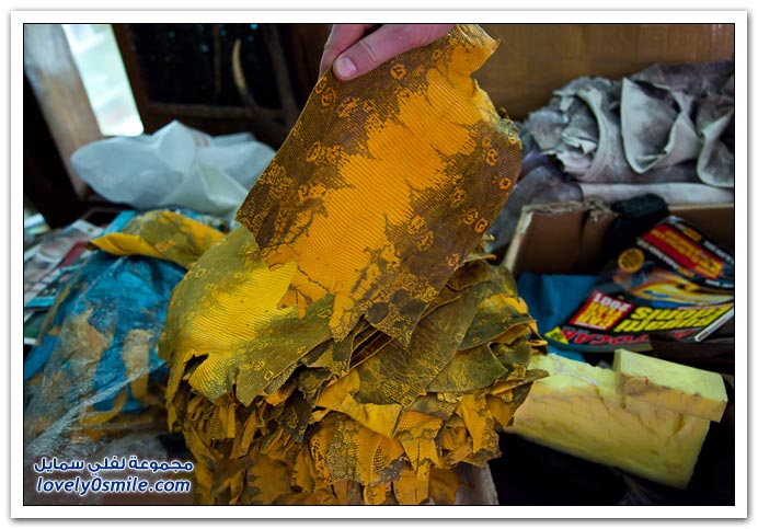 استخدامات جلد الثعبان في المشغولات اليدوية باندونيسيا