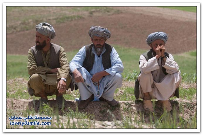 تدمير حقول الخشخاش في أفغانستان