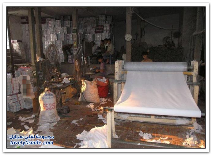 مصنع ورق الحمام في الصين