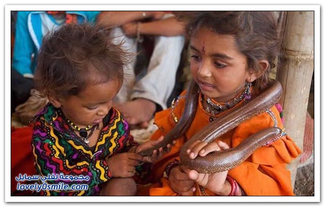 الأطفال أصدقاء الثعابين في الهند