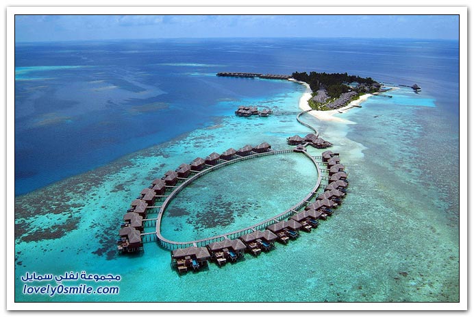 فندق بالم كوكو في المالديف