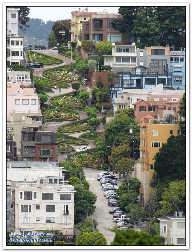 أكثر طرق العالم تعرجاً في سان فرانسيسكو