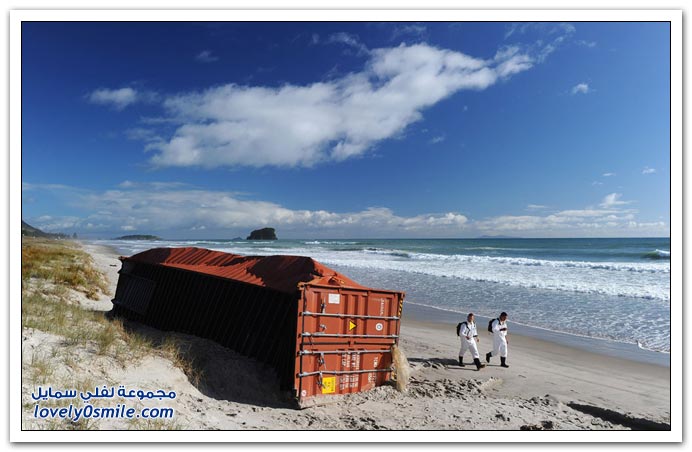 غرق سفينة نقل قرب شاطئ نيوزيلندا