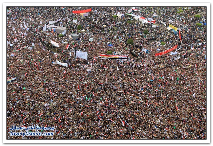 صور المظاهرات في مصر