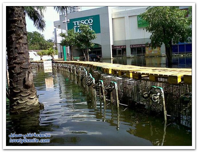 وسائل النقل في تايلاند أثناء الفيضانات