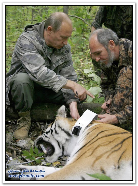 الرئيس الروسي فلاديمير بوتين وحبه للشهرة ج2