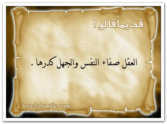 العقل صفاء النفس والجهل كدرها + داء الجهل ليس له دواء