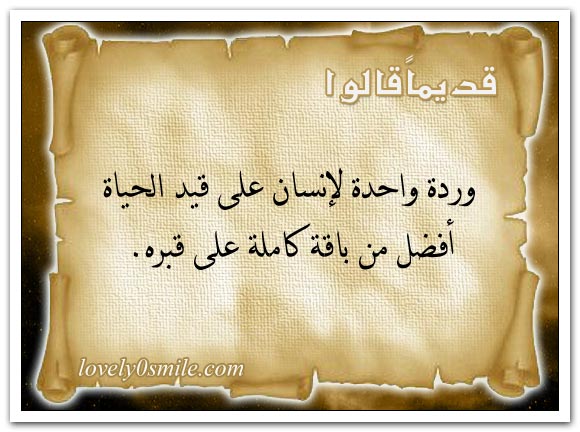 العقل صفاء النفس والجهل كدرها + داء الجهل ليس له دواء