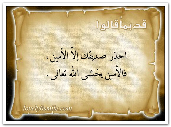 العقل صفاء النفس والجهل كدرها + داء الجهل ليس له دواء