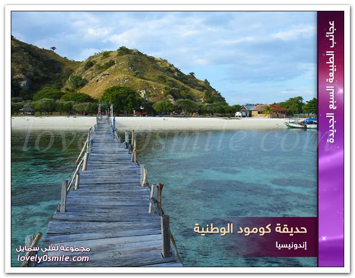 عجائب الطبيعة السبع الجديدة