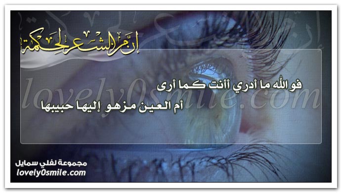 فوالله ما أدري أأنت كما أرى أم العين مزهو إليها حبيبها