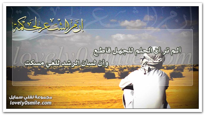 ألم تر أن الحلم للجهل قاطع وأن لسان الرشد للغي مسكت