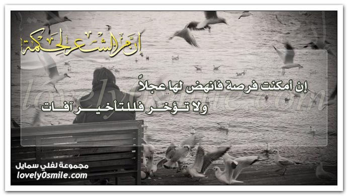 إن أمكنت فرصة فانهض لها عجلاً ولا تؤخر فللتأخير آفات