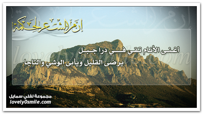 أغنى الأنام تقي في ذرا جبل يرضى القليل ويأبى الوشي والتاجا