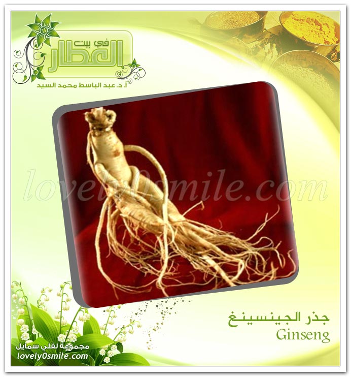  - Ginseng