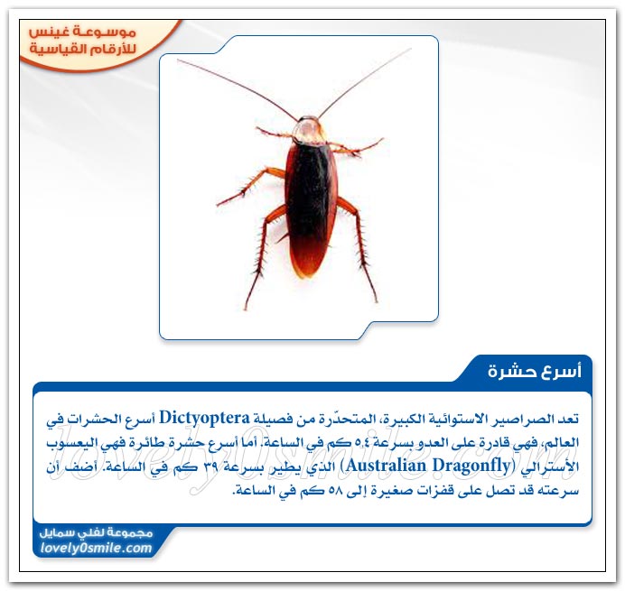 أكثر الحشرات مقاومة للمبيدات + أثقل عقرب + أسرع حشرة