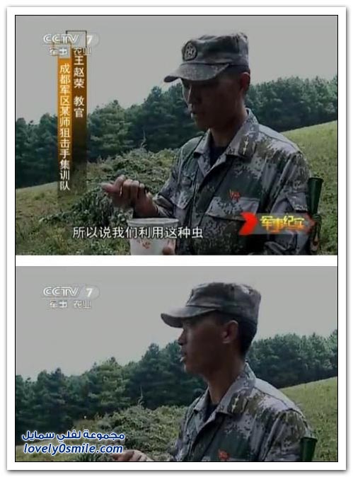 أحد التدريبات الصينية وضع الحشرات على وجه الجنود