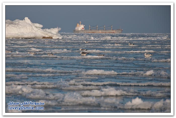 تجمد خليج أوديسا في أوكرانيا