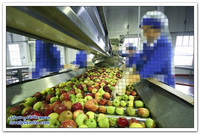 صور لأكبر مصانع تعليب العصير في أذربيجان