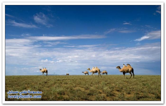 صور لمناظر من الطبيعة في كازاخستان