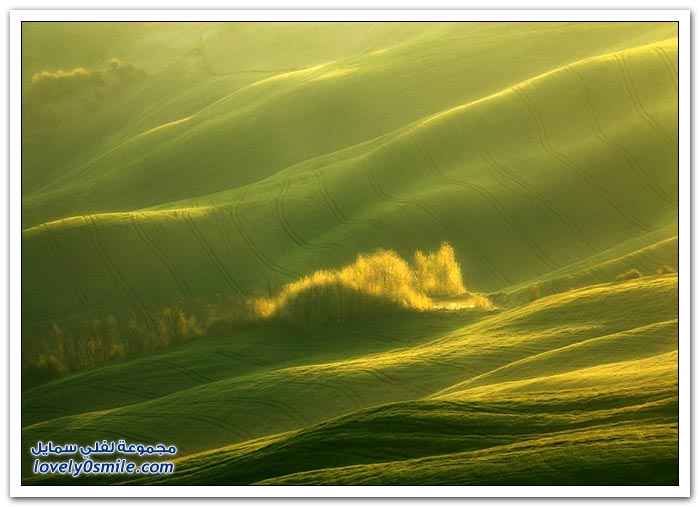 الحقول الخضراء في مورافيا ، الجمهورية التشيكية
