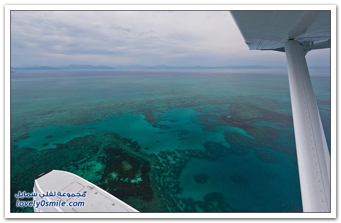 الحاجز المرجاني الضخم على ساحل مدينة كيرنز الأسترالية