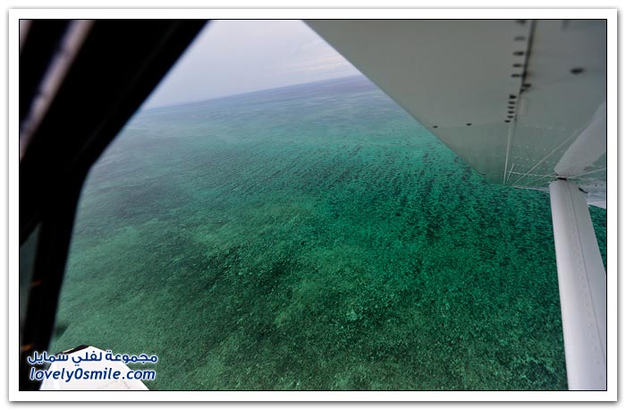 الحاجز المرجاني الضخم على ساحل مدينة كيرنز الأسترالية