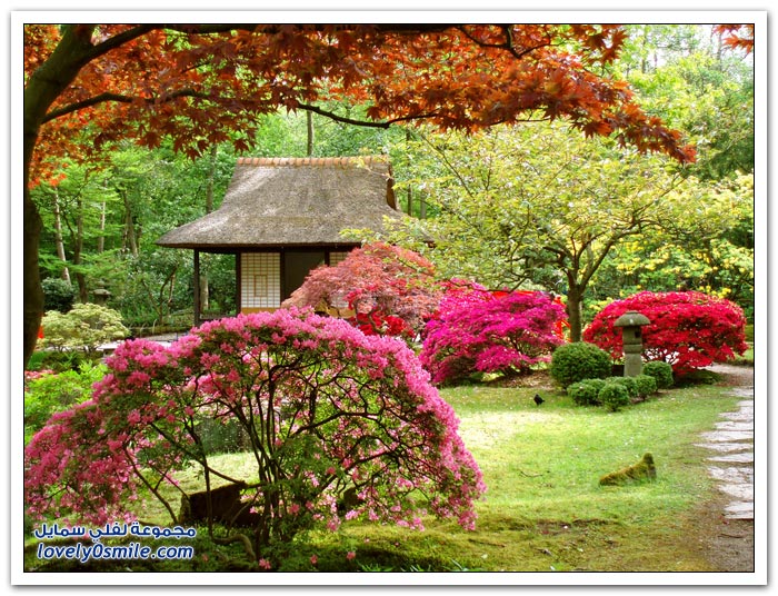 الطبيعة والحدائق الرائعة في اليابان