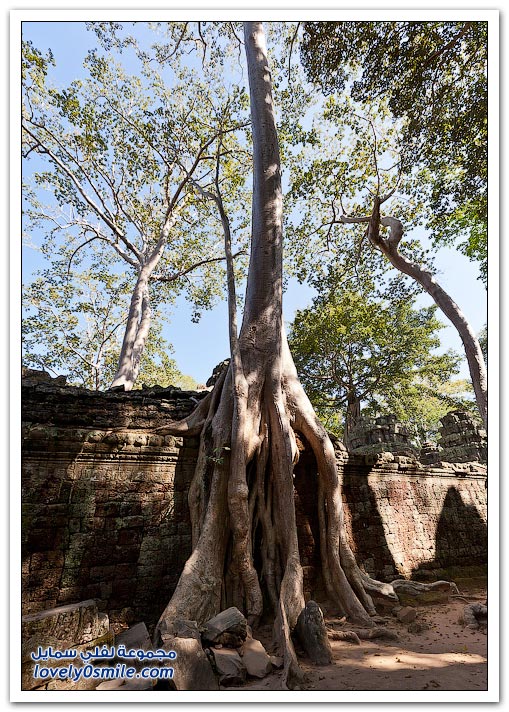 معبد أنكور وات (أنغكور وات) في كمبوديا