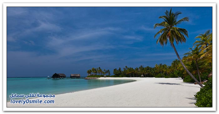 منتجع نجوم العالم في جزر المالديف