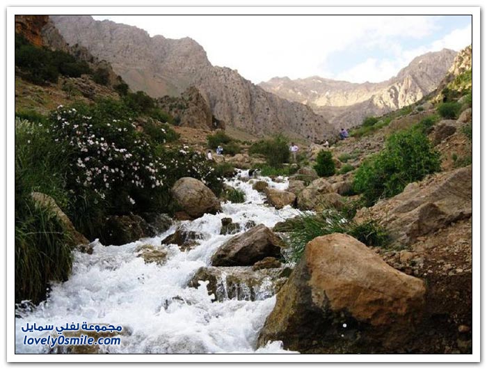 صور من الطبيعة في إيران