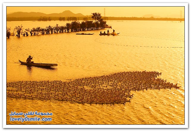 صور من فيتنام
