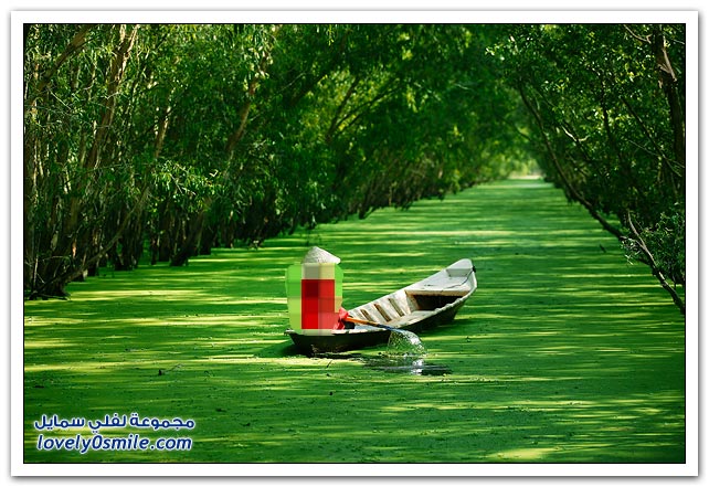 صور من فيتنام
