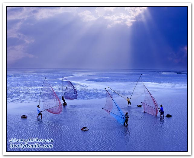 صور من فيتنام