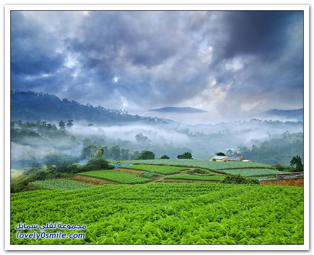 صور من فيتنام