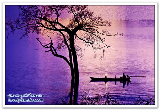 صور من فيتنام