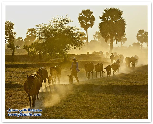 صور من فيتنام
