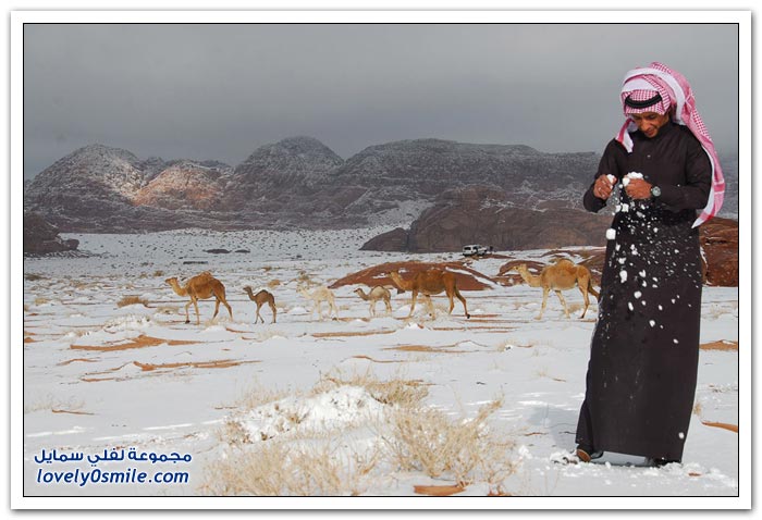 انتهاء الشتاء وبداية الربيع لعام 2012
