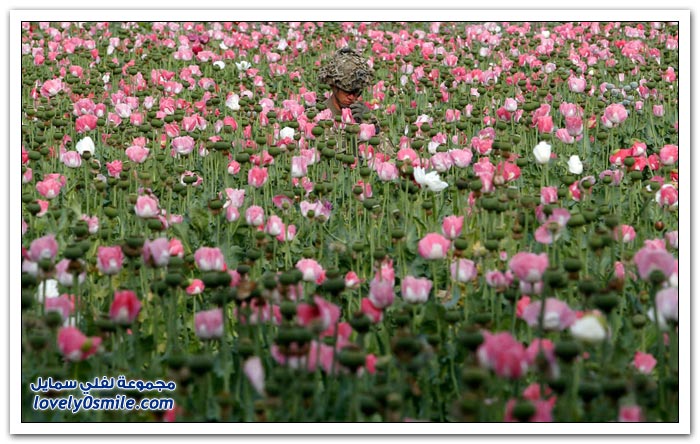 صور من أفغانستان في شهر أبريل 2012