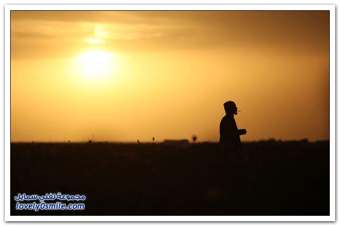صور من أفغانستان في شهر أبريل 2012