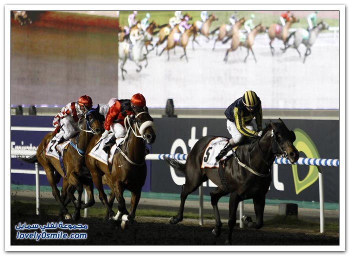 سباق دبي العالمي للخيول 2012