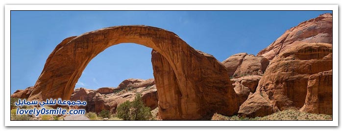 صور من الجسور حول العالم 2