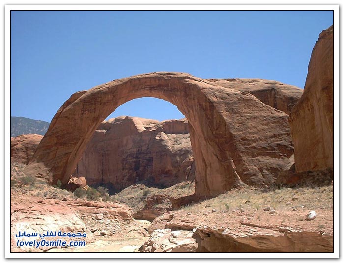صور من الجسور حول العالم 2