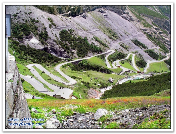  Stelvio         