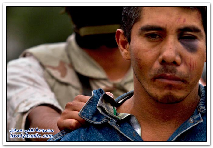 عشر سنوات على حرب المخدرات في المكسيك