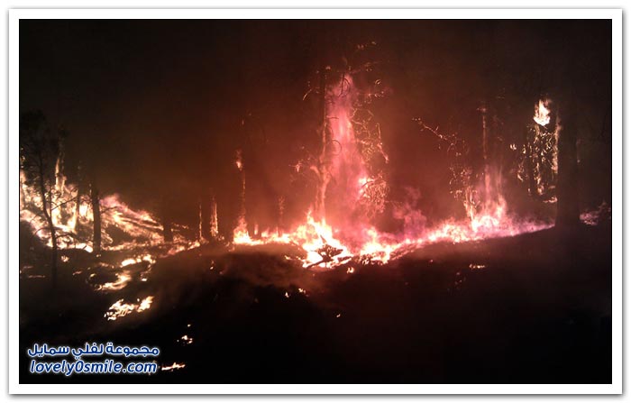 حرائق الغابات في ولاية كولورادو