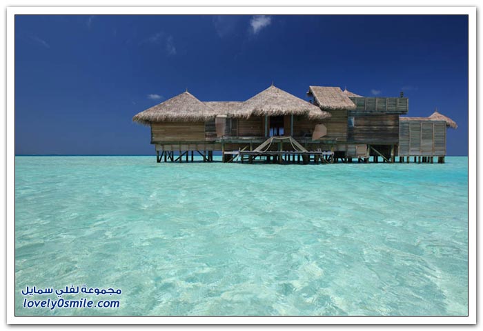 فندق سونيفا جيلي في جزر المالديف