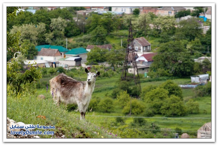 صور من الطبيعة في القوقاز