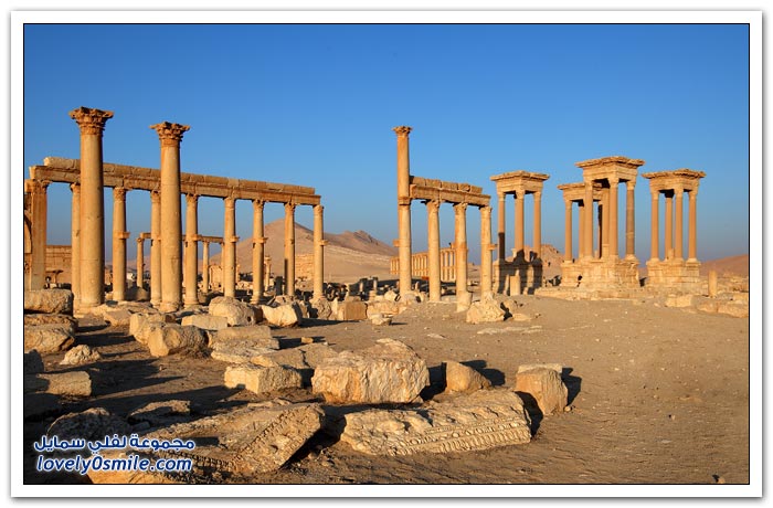 مدينة تدمر إحدى أهم المدن الأثرية عالمياً في سوريا